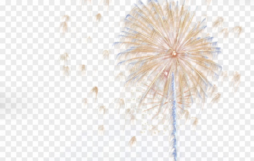 Burst Of Fireworks Symmetry White Floor Pattern PNG