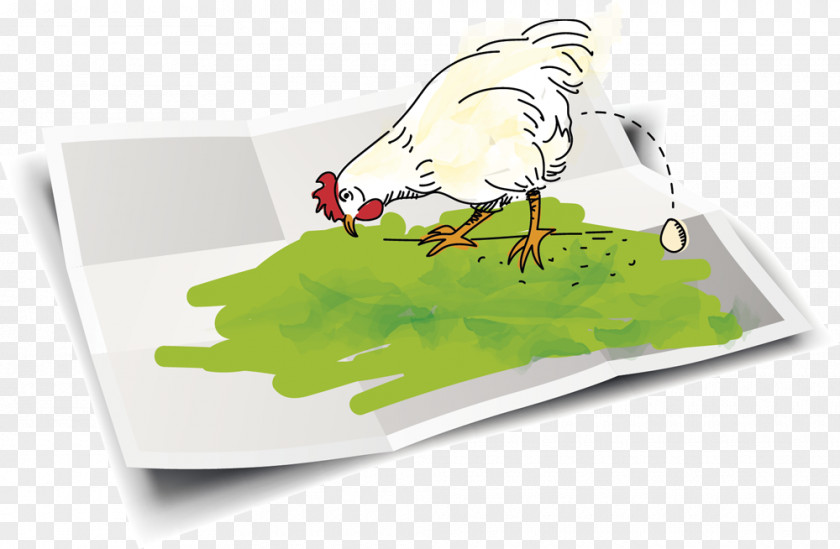 Chicken Garden House Egg PNG