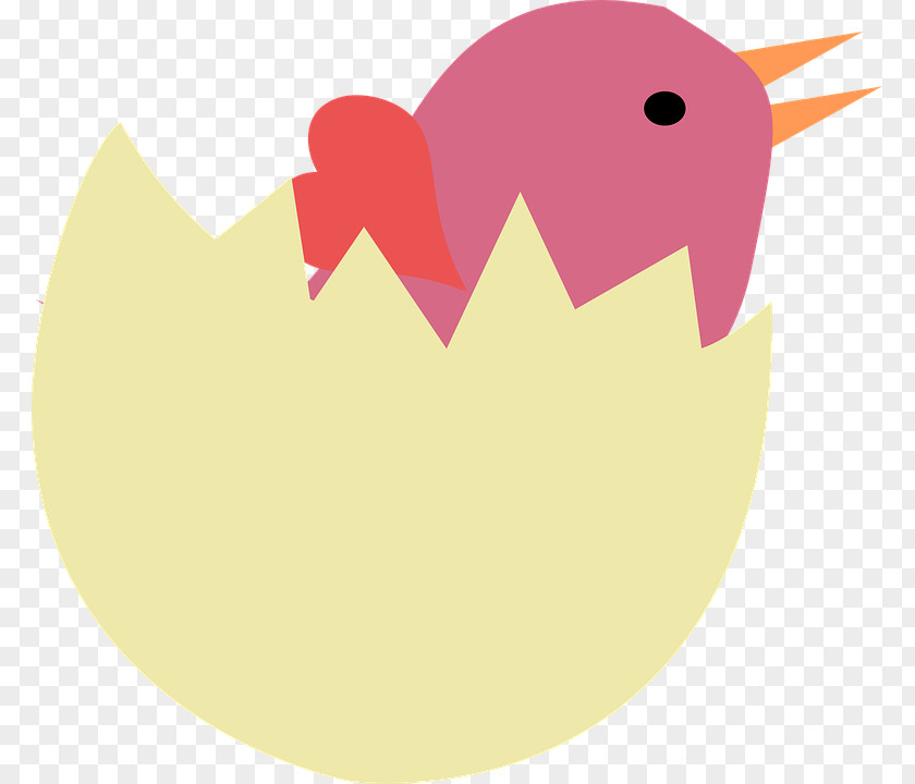 Coming Vector Bird Egg Nest Clip Art PNG