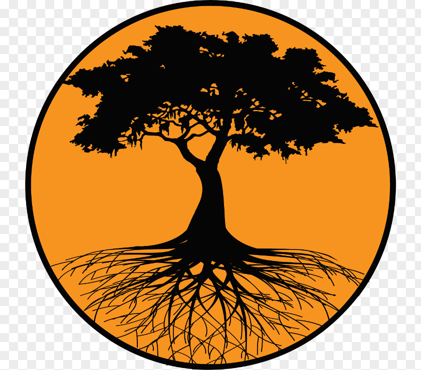 Orange Tree Root Silhouette PNG