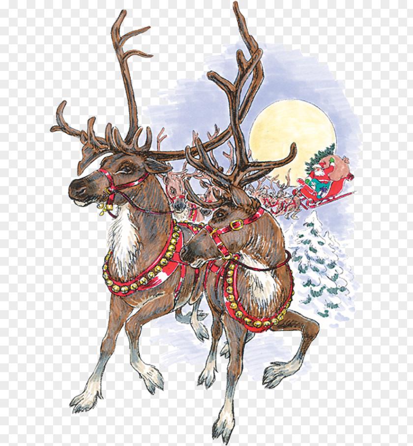 Santa Sleigh Claus's Reindeer Rudolph PNG