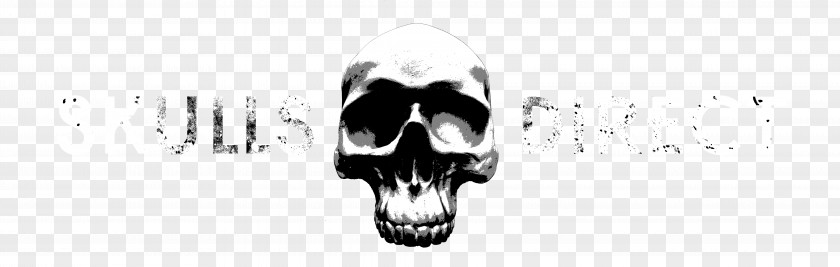 Skull Snout Animal Skulls Skullsdirect Ltd Jaw PNG