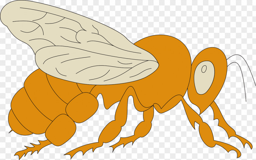 Bee Honey Clip Art Image Drawing PNG