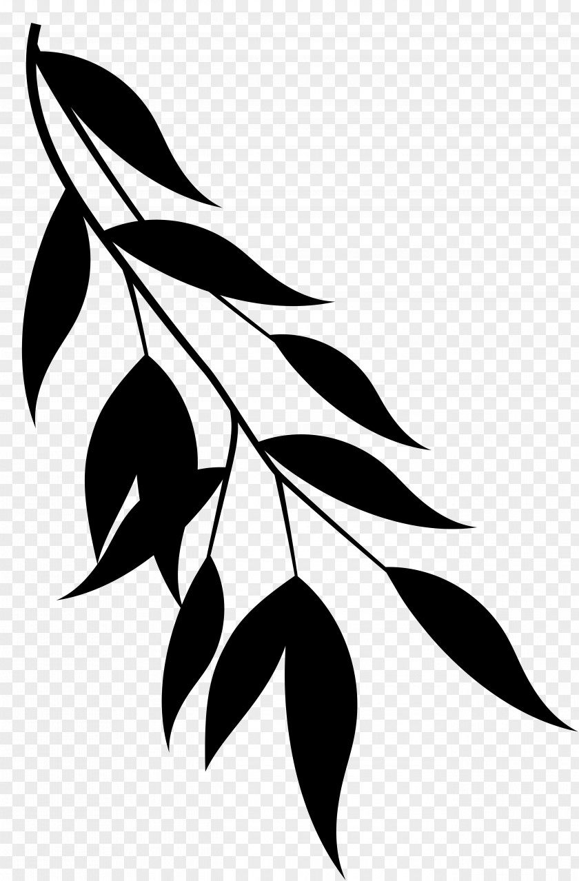Clip Art Line Silhouette Plant Stem Pattern PNG