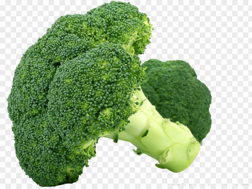 Fresh Fruits And Vegetables,broccoli Broccoli Cauliflower Cabbage Vegetable Brussels Sprout PNG