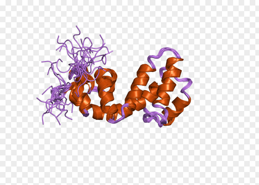 Rgs18 Regulator Of G Protein Signaling Font PNG