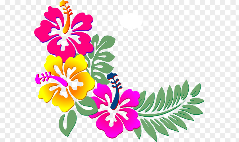 Blog Pink Flowers Clip Art PNG