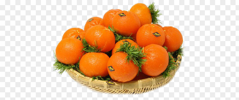 Clementine Mandarin Orange Tangerine Tangelo Bitter PNG