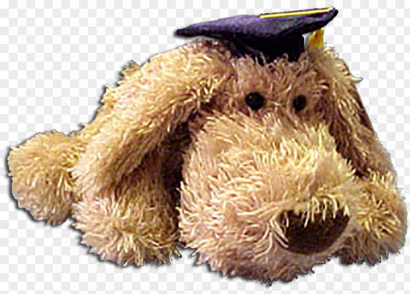 Golden Graduation Cap Snout Stuffed Animals & Cuddly Toys PNG