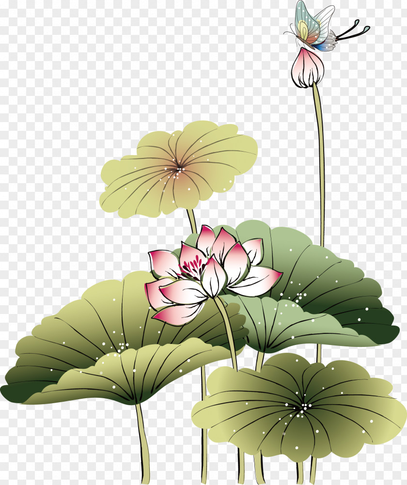 Hand-painted Lotus Chinese Painting Art PNG