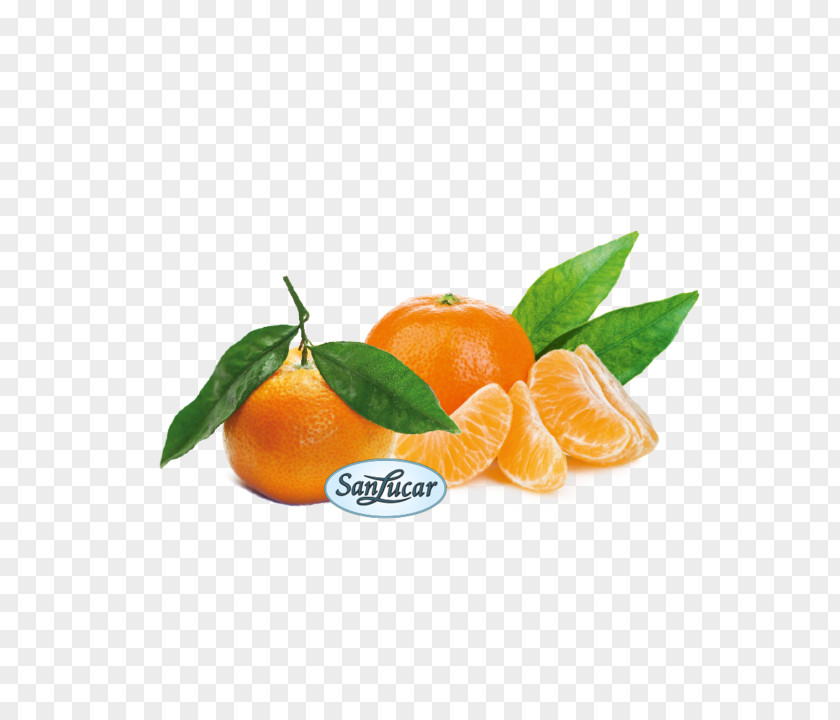 Krombacher Mandarin Orange Fruit Sorbet Flavor Ice Cream PNG