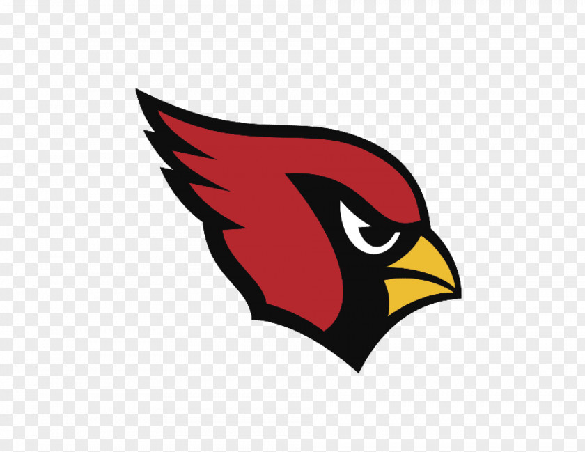 NFL Arizona Cardinals Carolina Panthers American Football PNG