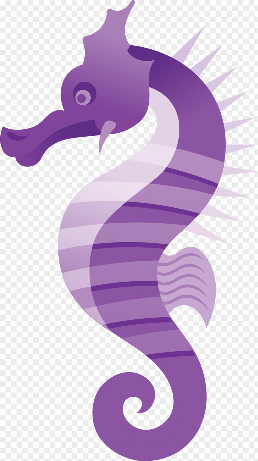 Seahorse Ocean Deep Sea Creature Clip Art PNG