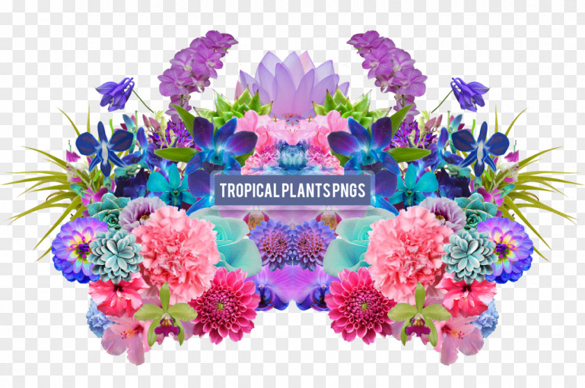 Tropical Aesthetics Flower Clip Art PNG