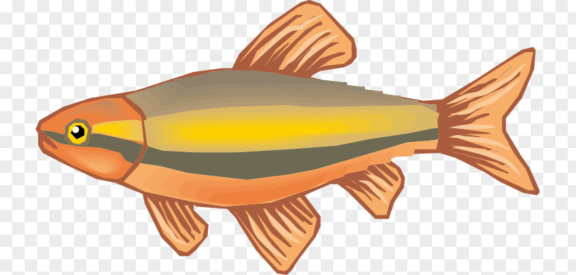 Cartoon Fish Drawing PNG