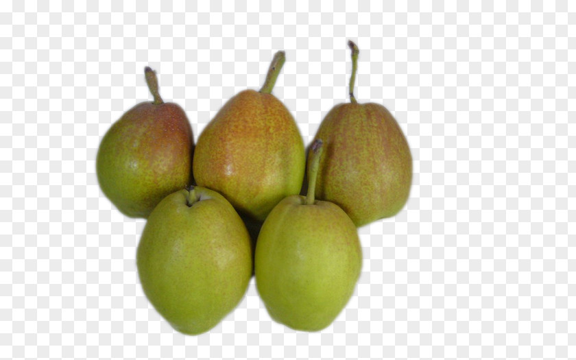 Delicious Pears Asian Pear Pyrus Xd7 Bretschneideri Food PNG