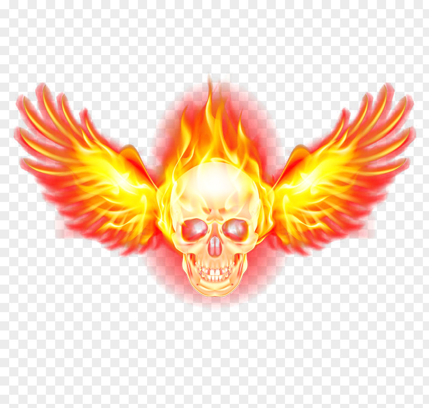 Flame Skeleton Fire Wing PNG