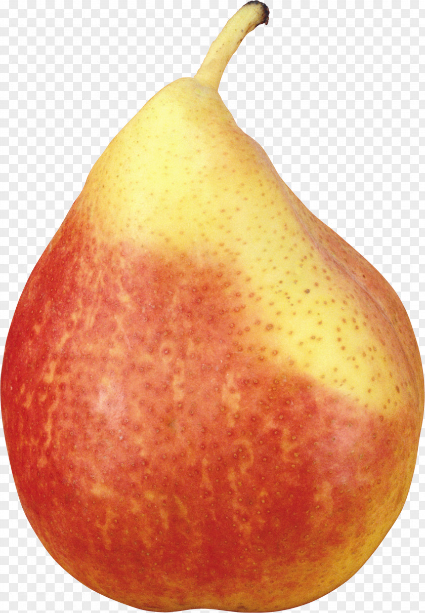 Pear Fruit Clip Art PNG