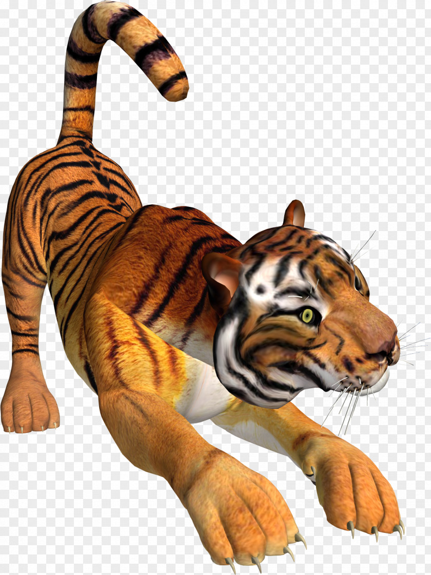 3d Tiger Lion Presentation Clip Art PNG