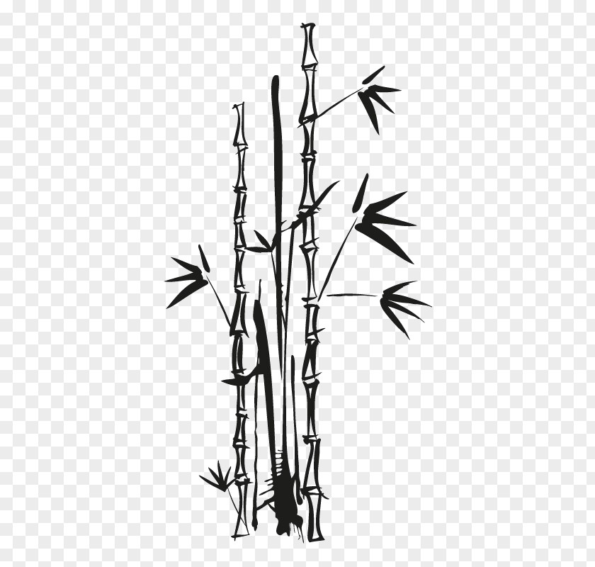 Bamboo Vector Graphics Euclidean Image PNG