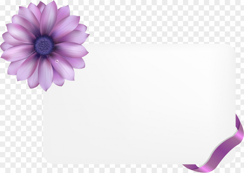 Flower Rectangular Frame Floral PNG