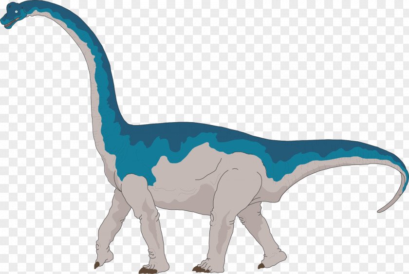 Giraffe Brachiosaurus Apatosaurus Brontosaurus Dinosaur Size Clip Art PNG