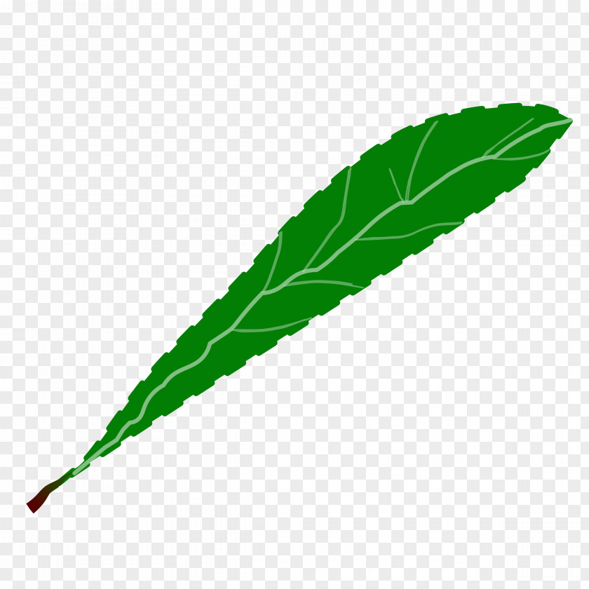 Green Leaves Leaf Petal Clip Art PNG