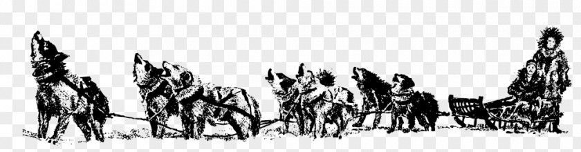 Husky Siberian Dog Sled Racing PNG