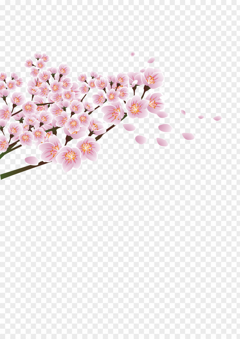 Peach Corner Decoration Flower Download PNG