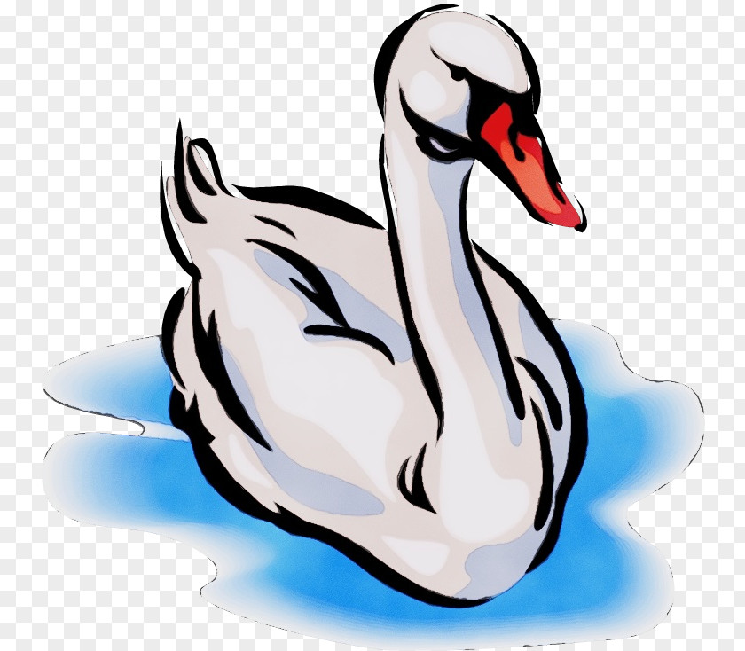 Wildlife Goose Water Background PNG