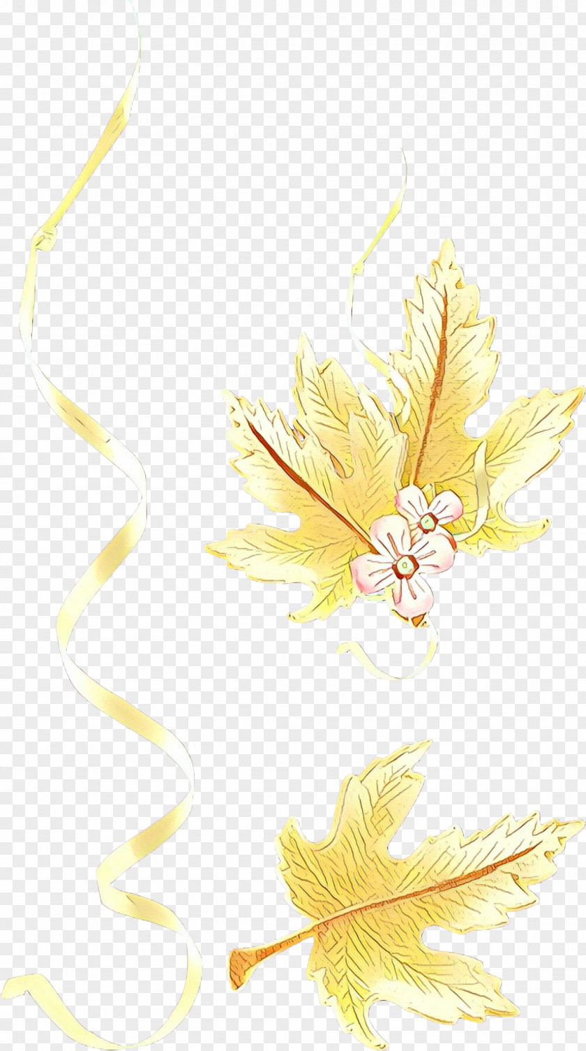 Wing Plant Feather PNG