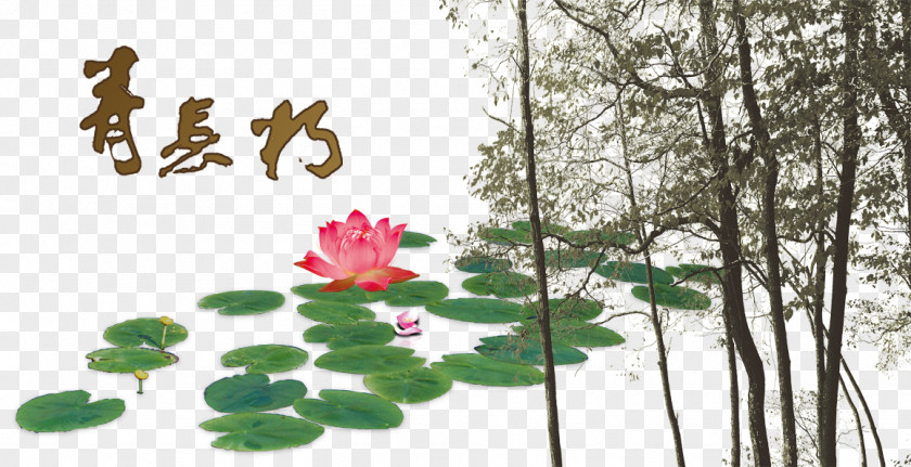 Chinese Ink Painting Style Lotus Branches China Wash PNG