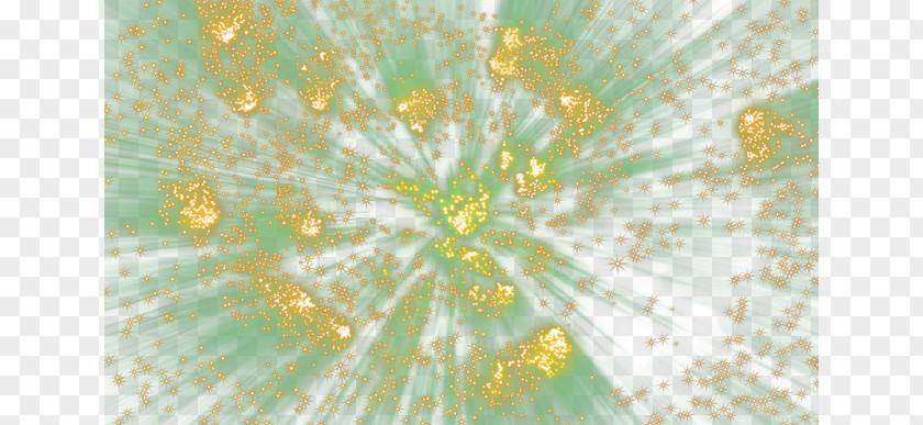 Fireworks Yellow Sky Organism Wallpaper PNG