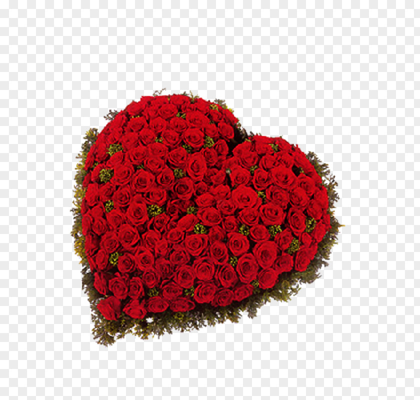 Flower Garden Roses Red Box PNG