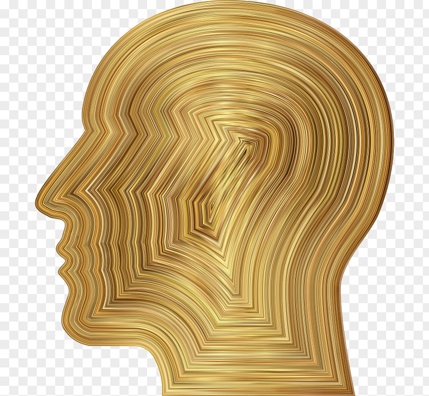 Gold Brain Metal Human Head Skull PNG