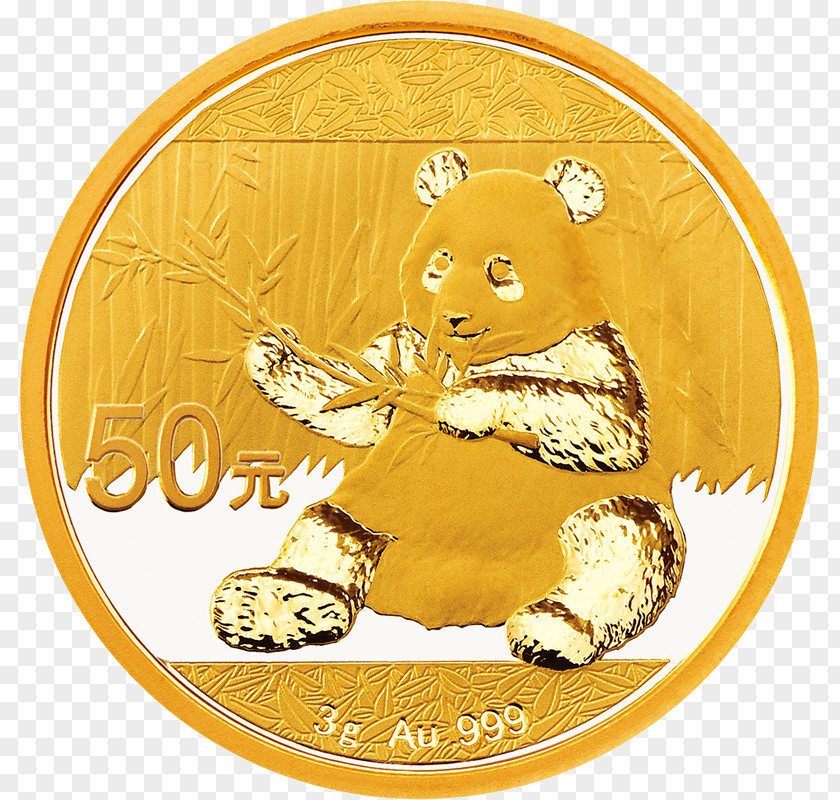 Gold Giant Panda Chinese Coin Bullion PNG