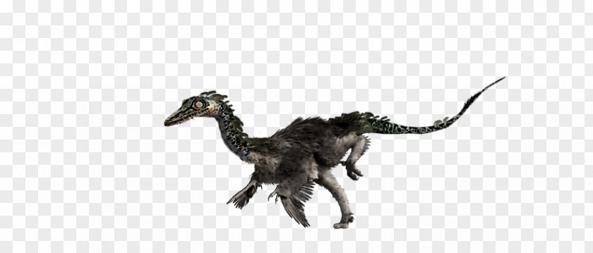 Jurassic Park The Game Park: Velociraptor DeviantArt PNG