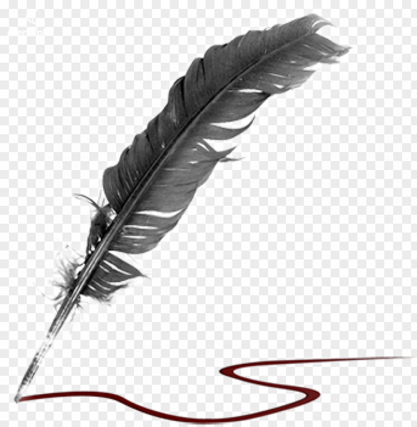 Literature Quill Creative Writing Poetry PNG
