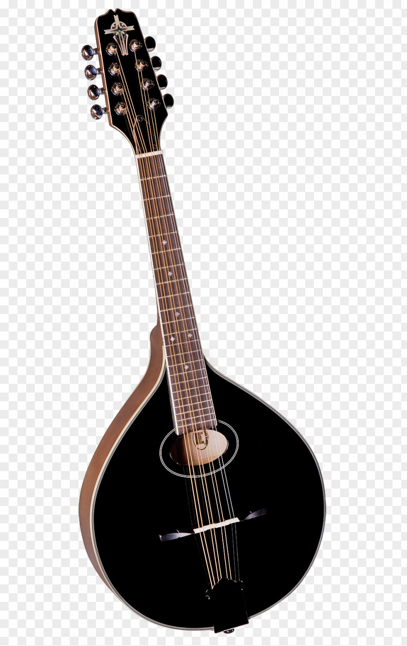 Acoustic Guitar Bass Mandolin Tiple Mandola PNG