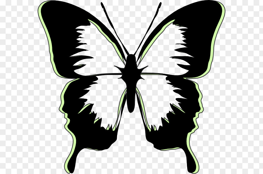 Butterfly Stencil Drawing Art PNG