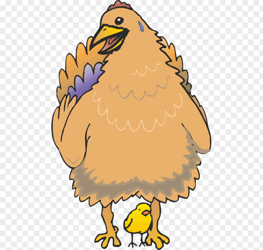 Chicken Bird Cartoon Image Illustration PNG