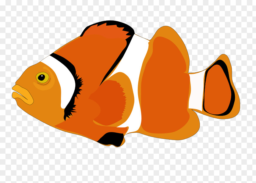 Fish Clip Art Vector Graphics Image Cartoon PNG