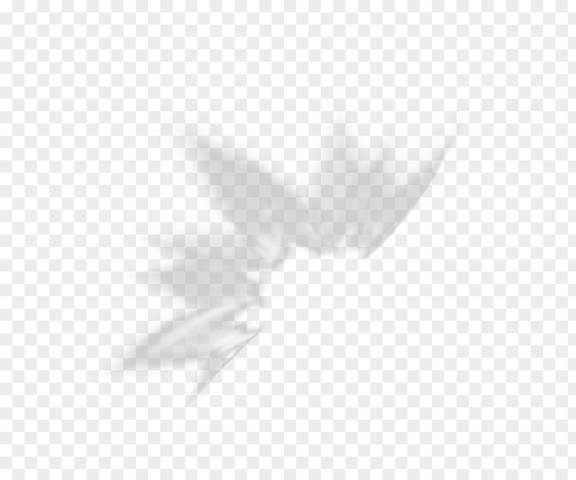 Sloe Petal Desktop Wallpaper White Leaf Font PNG