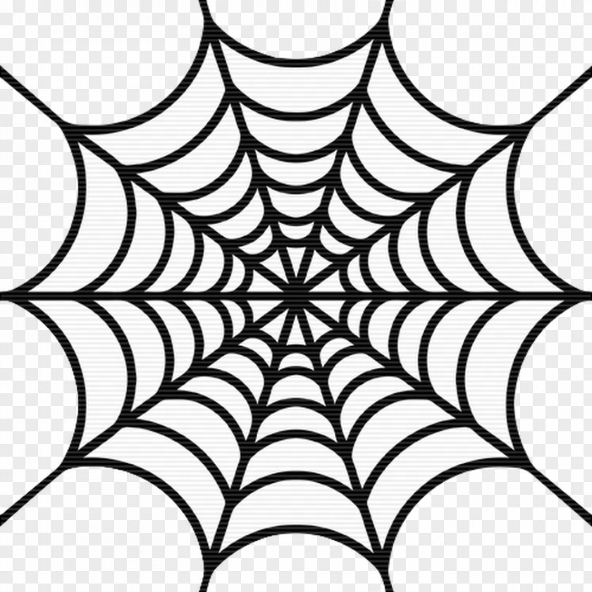 Spider Web Clip Art Openclipart Drawing PNG