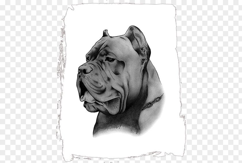 Cane Corso Dog Breed Pit Bull Non-sporting Group Sales PNG