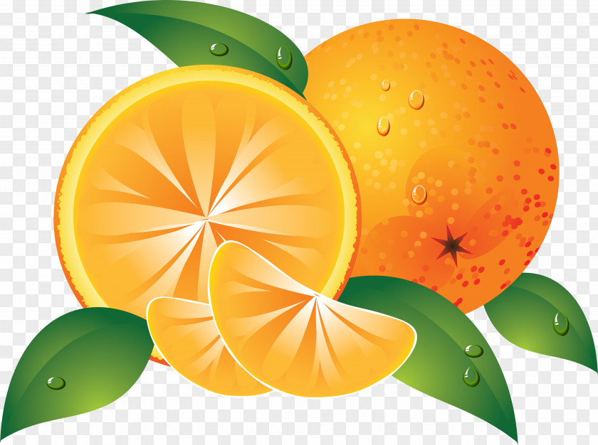 Orange Image, Free Download Slice Clip Art PNG