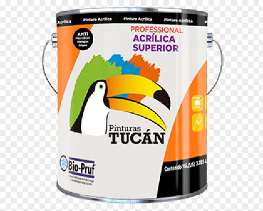 Paint Painting Acrylic Toucan Material PNG