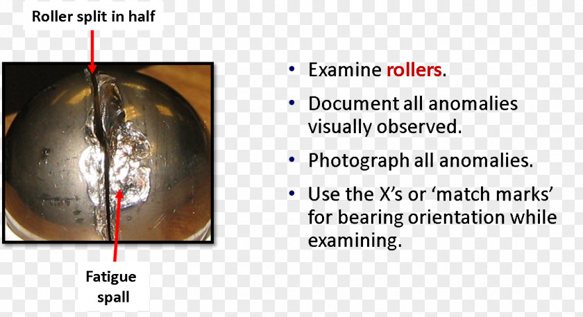 Rolling-element Bearing Spall Seal Fatigue PNG