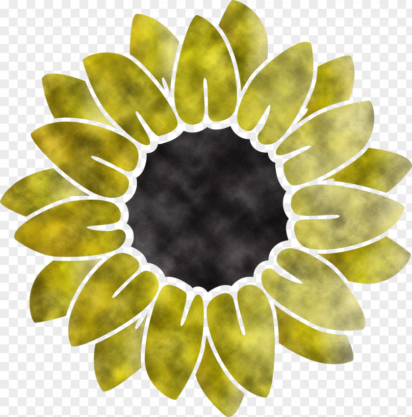 Sunflower Summer PNG