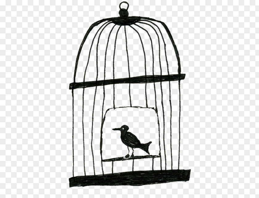 Birdcage Lovebird Drawing PNG